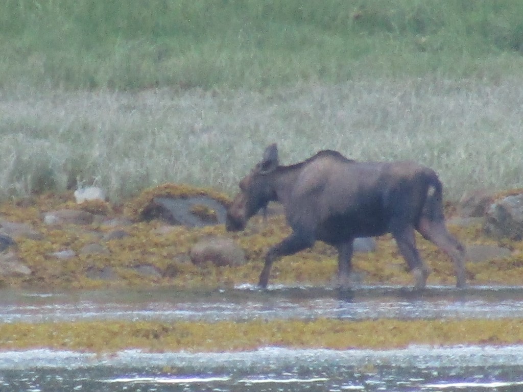June 17th-20th, 2023: South to the Misty&nbsp;Fjords