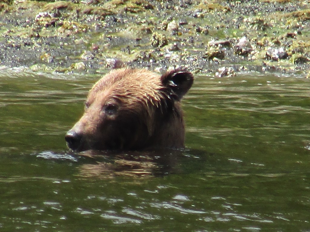 June 21st-22nd, 2023: Misty Fjords – Yosemite on the&nbsp;water