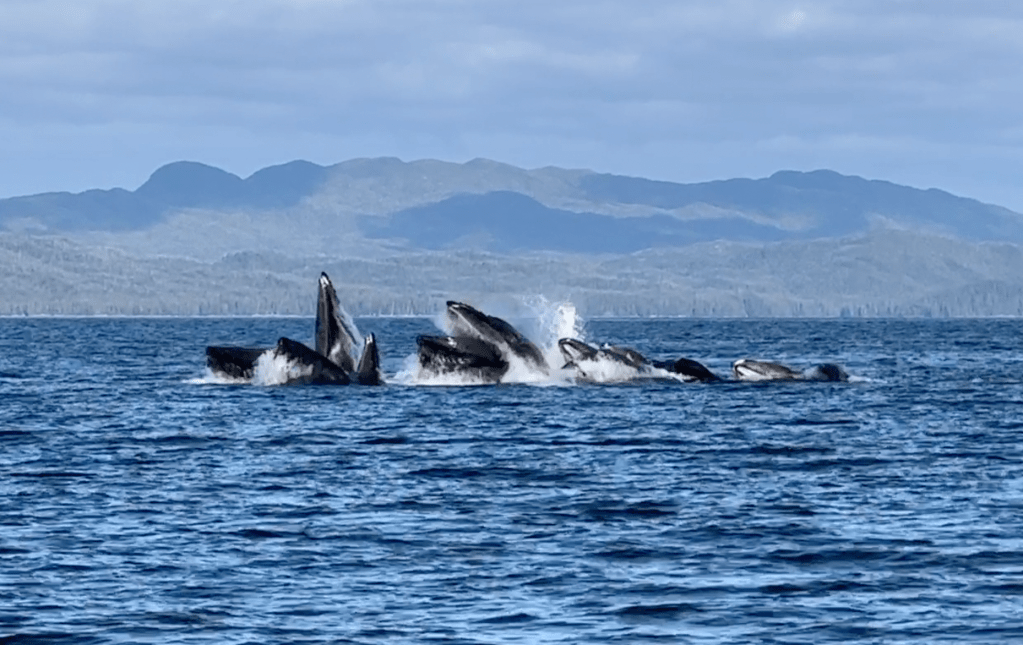 July 9 – 13, 2023: The outer Inside&nbsp;Passage