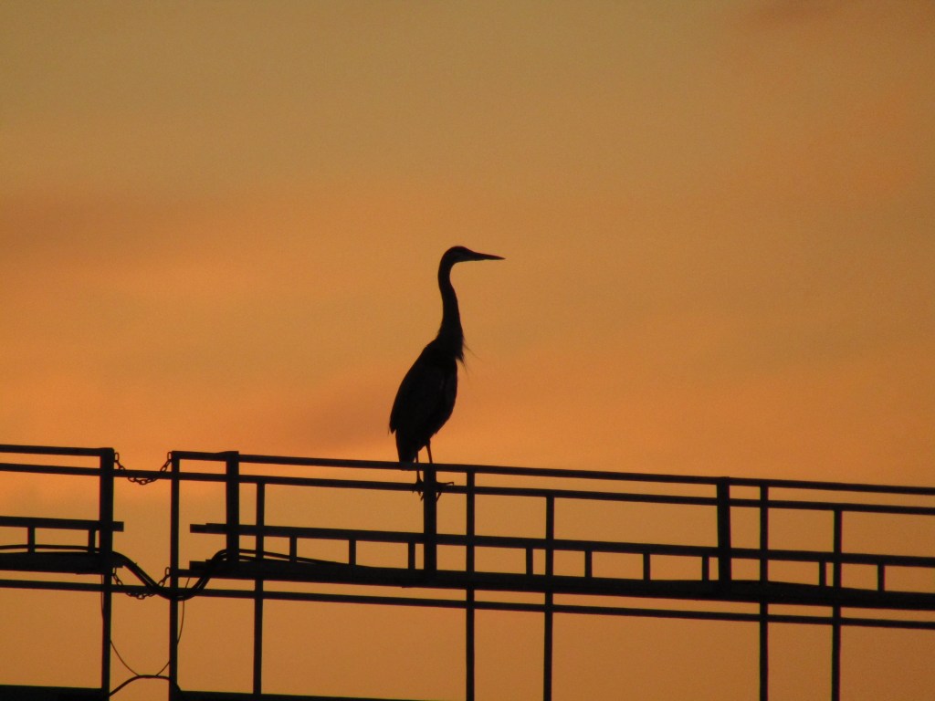 July 27 – August 6, 2023: Our return to&nbsp;civilization