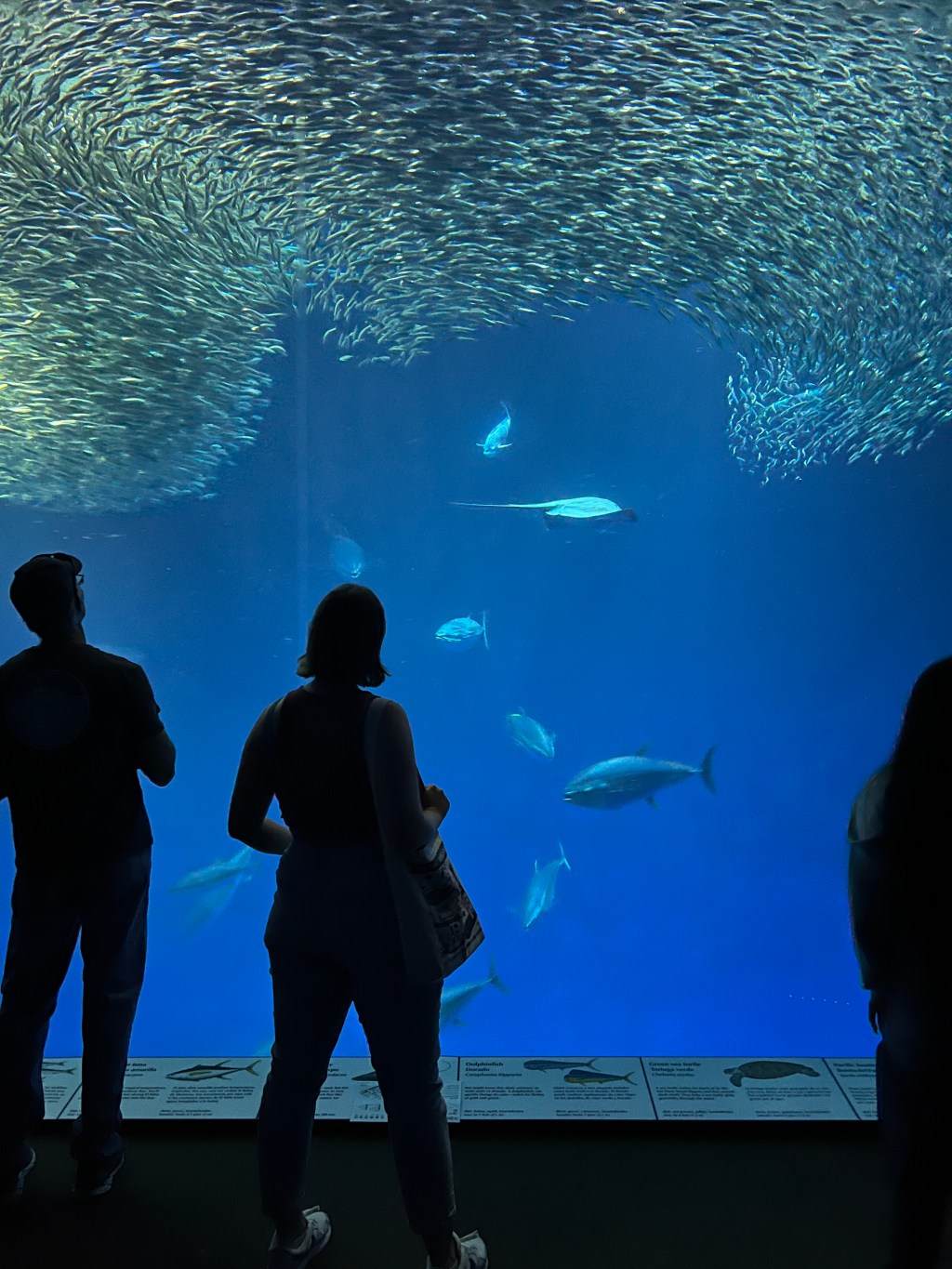 September 16 – 22, 2023: On to Monterey&nbsp;Bay