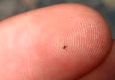 November 19 – 30, 2023: Thanksgiving in the Southern Sea of&nbsp;Cortez